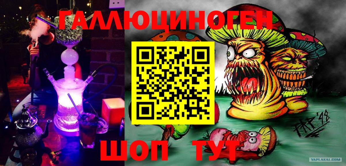 Галлюциногенные грибы Psilocybine cubensis Камень-на-Оби