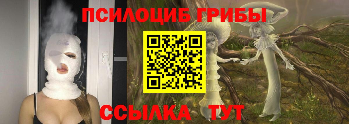 Камень-на-Оби  Галлюциногенные грибы прущие грибы  Вход с VPN 