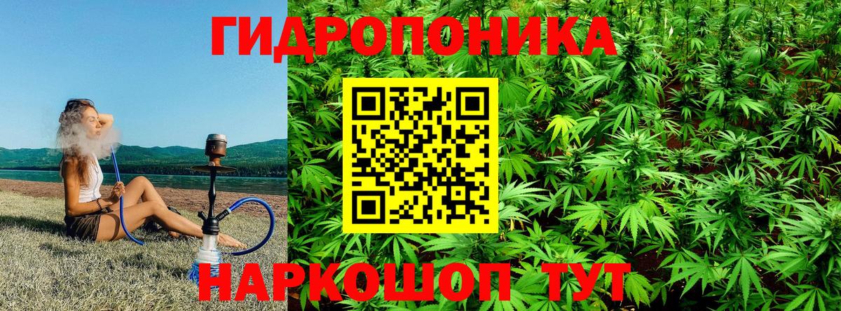 Бошки Шишки марихуана Камень-на-Оби